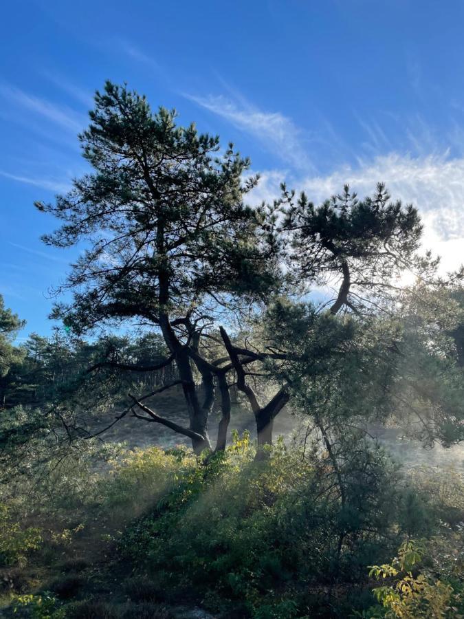 The Forester Schoorl Exterior foto